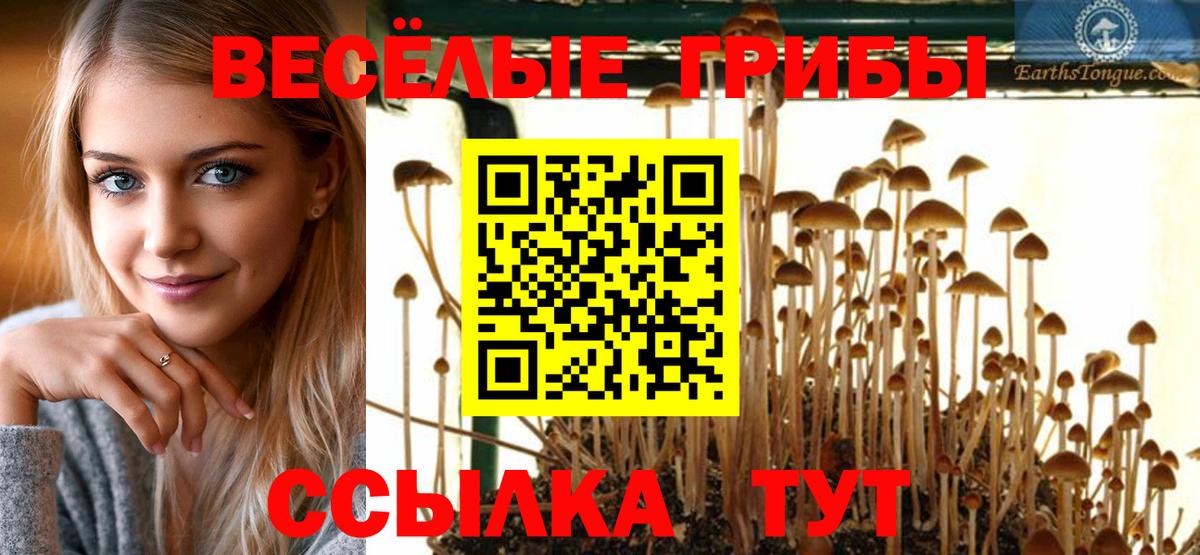 Елец  Псилоцибиновые грибы Psilocybe  Вход с VPN 